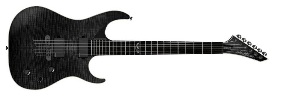 washburn-pxs10edlxtbm
