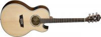 washburn-ea20snb