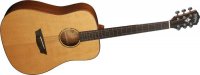 washburn-wd160sw