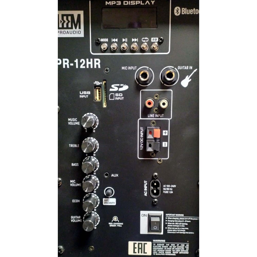 Портативная акустическая система Leem PR-12HR