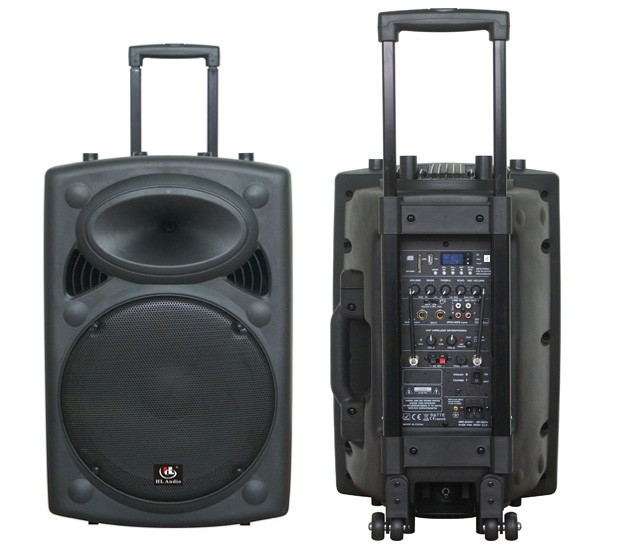 Активная акустическая система HL Audio USK-12A