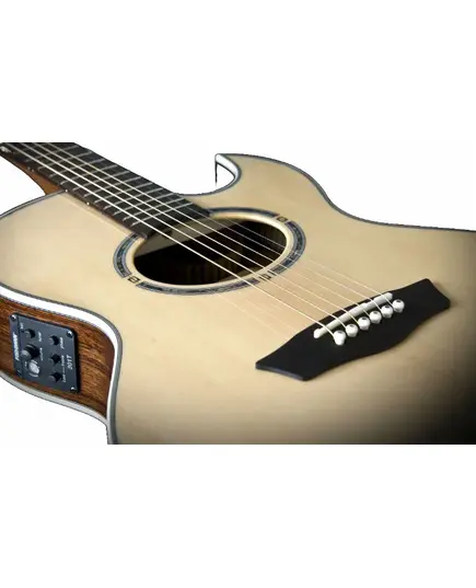 Электроакустическая гитара Washburn EA20SNB