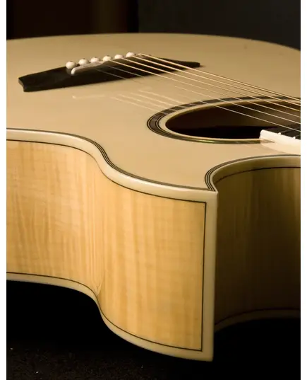 Электроакустическая гитара Washburn EA20S