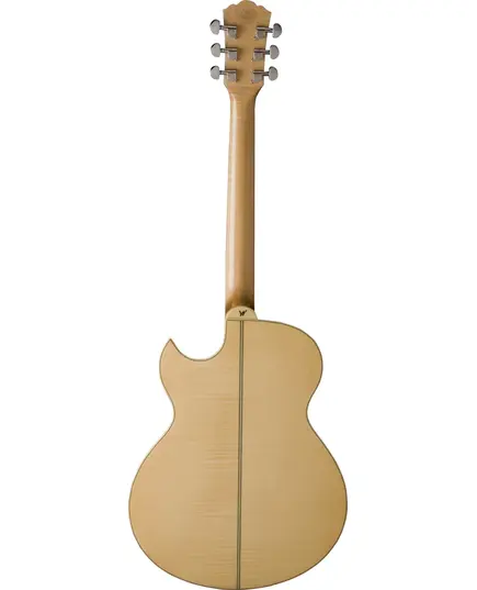 Электроакустическая гитара Washburn EA20S