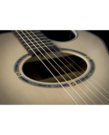 Электроакустическая гитара Washburn EA20SNB