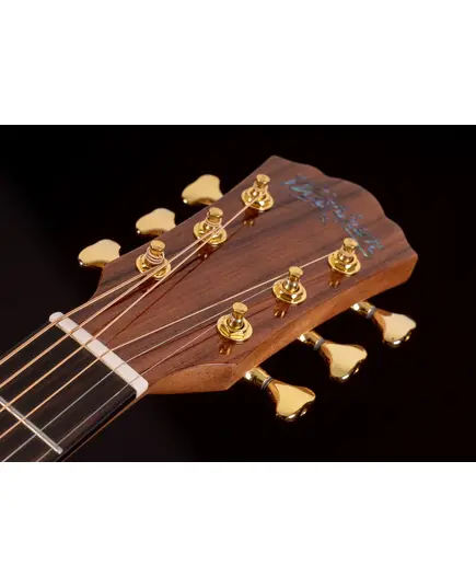 Акустическая гитара Washburn BTS24S
