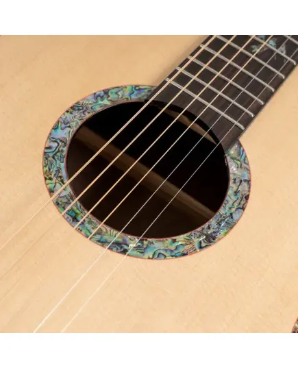 Акустическая гитара Washburn BTS24S