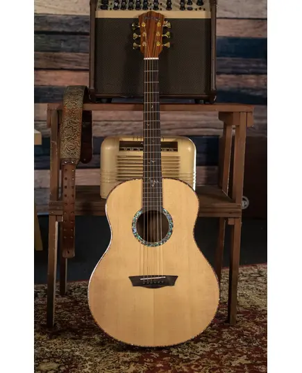 Акустическая гитара Washburn BTS24S