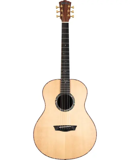 Акустическая гитара Washburn BTS24S