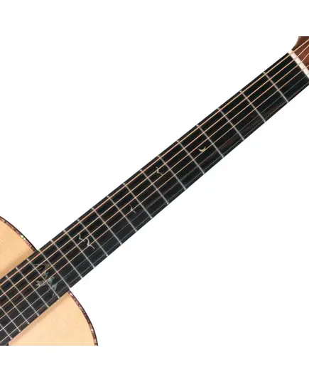 Акустическая гитара Washburn BTS24S