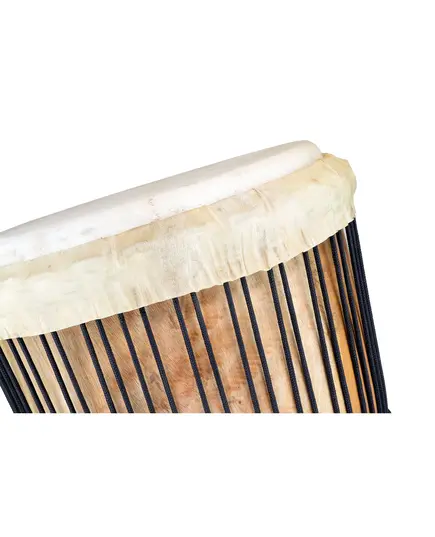 Джембе Terre Djembe Master Senegal 50cm  (382412-50)