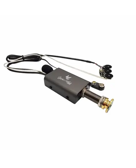 Электроакустическая гитара Gopherwood K750RE (полный массив) (с чехлом)