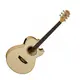 Электроакустическая гитара Washburn EA20S