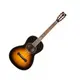 Электроакустическая гитара Washburn WP130SLTD