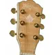 Электроакустическая гитара Washburn EA40SCE