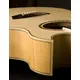 Электроакустическая гитара Washburn EA20S