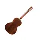Электроакустическая гитара Washburn WP130SLTD