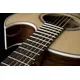 Электроакустическая гитара Washburn EA20SNB