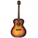 Акустическая гитара Washburn WG7SCEATBM