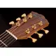 Акустическая гитара Washburn BTS24S