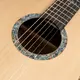 Акустическая гитара Washburn BTS24S