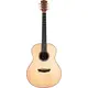 Акустическая гитара Washburn BTS24S