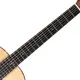 Акустическая гитара Washburn BTS24S