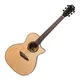Акустическая гитара Gopherwood G330C (с чехлом)