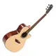 Акустическая гитара Gopherwood G330C (с чехлом)