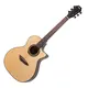 Акустическая гитара Gopherwood G330C (с чехлом)