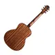 Акустическая гитара Gopherwood I210R (с чехлом)