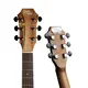 Акустическая гитара Gopherwood G100 (с чехлом)