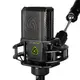 Микрофон Lewitt LCT240 PRO BK ValuePack