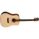 Гитара акустическая Washburn WLD10S