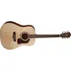 Гитара акустическая Washburn HD10S