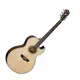 Электроакустическая гитара Washburn EA20SNB