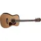 Гитара акустическая Washburn HF11S