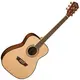 Гитара акустическая Washburn AF5